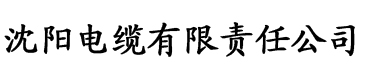 双腿玩弄电缆厂logo